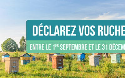 Déclaration des ruches