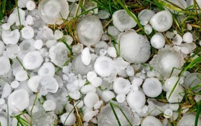Grêle et procédure de catastrophe naturelle 